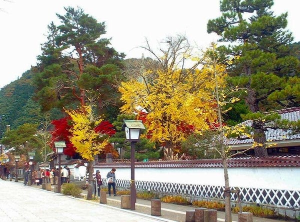 【富山・石川発】 JRで行く!安芸の宮島・萩・津和野・角島大橋・門司港3日間3